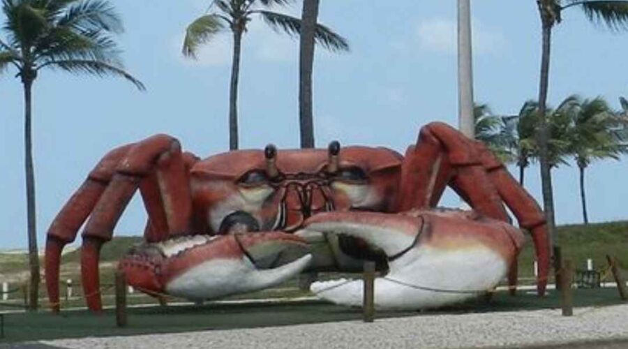 Passarela do Caranguejo